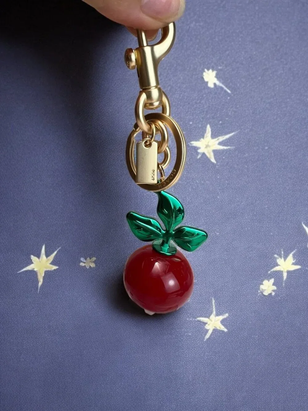 🌸Coach Red and Green Keychain